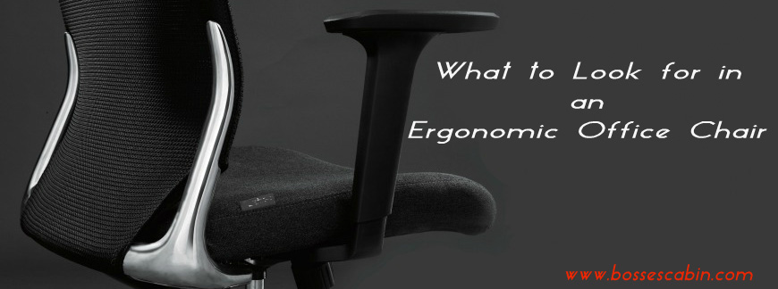 What to Look for in an Ergonomic Office Chair