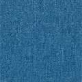 P-TM06
