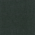 P-TM12