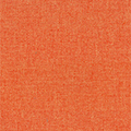 P-TM13