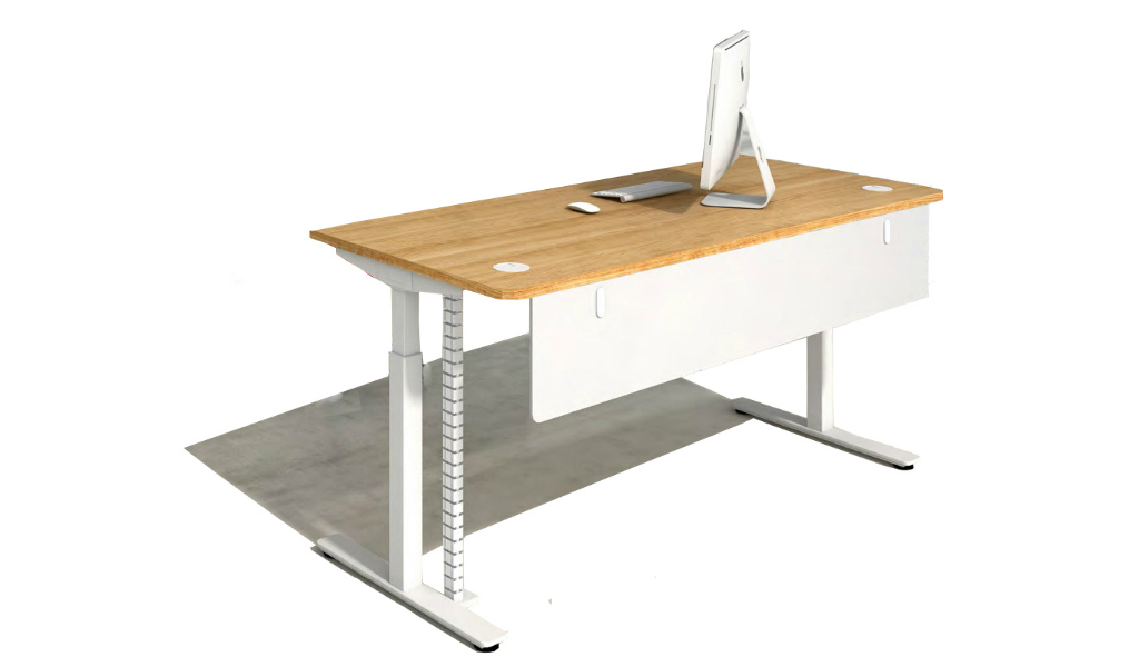 ‘iRidge’ 5 Feet Motorized Height Adjustable Office Desk